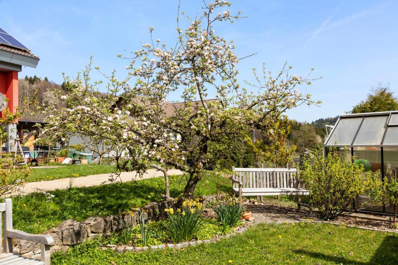 Ferienwohnung Im Alpenblick Steinen  Exterior foto